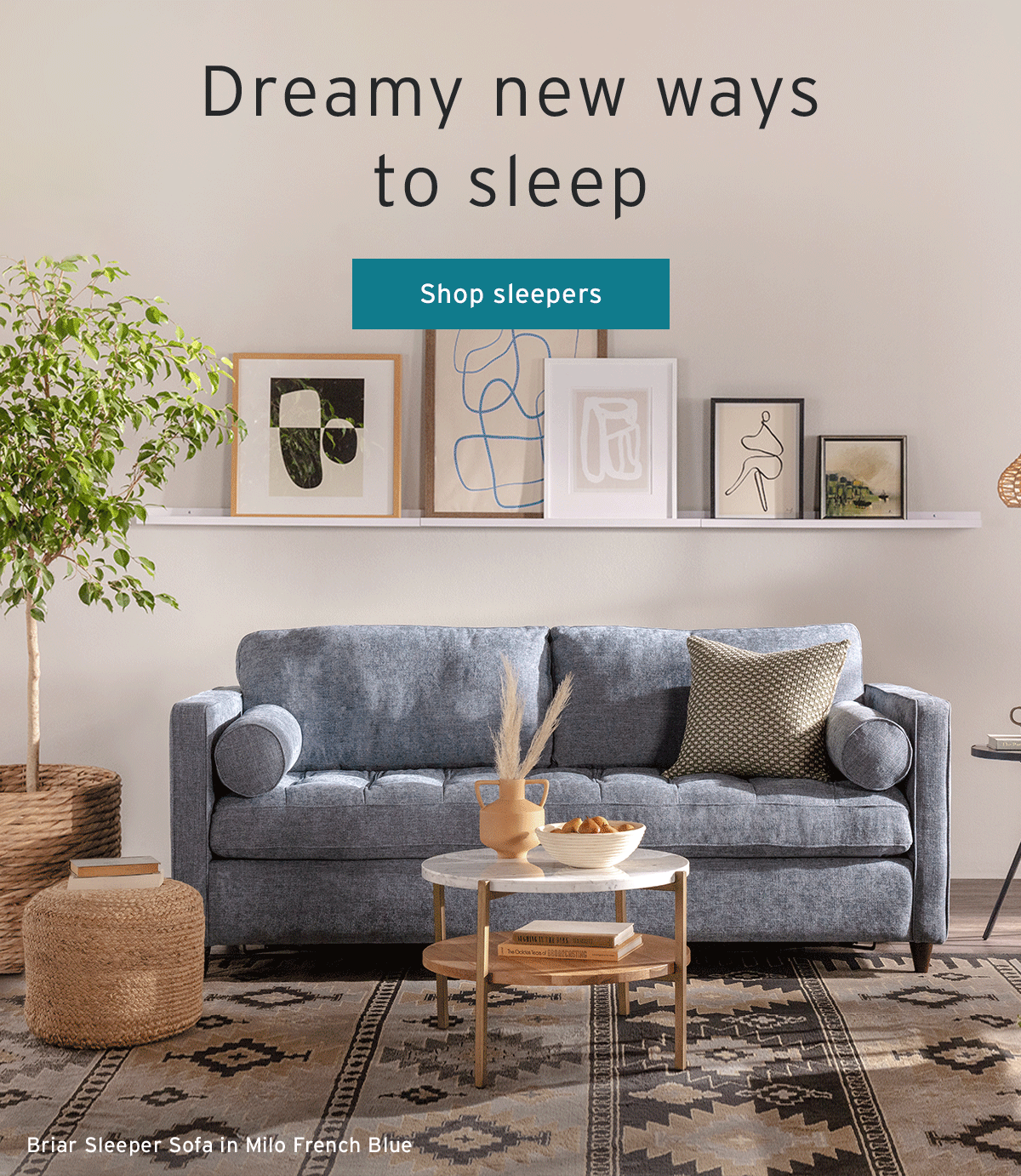 Joybird Briar Sleeper Sofa Matttroy